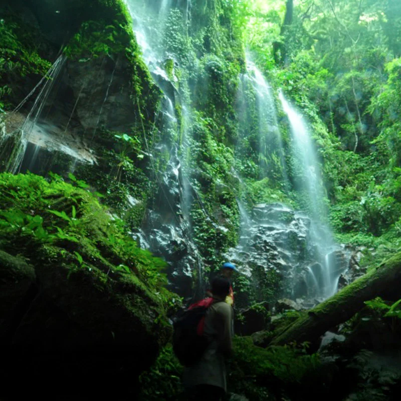 Royal Belum State Park